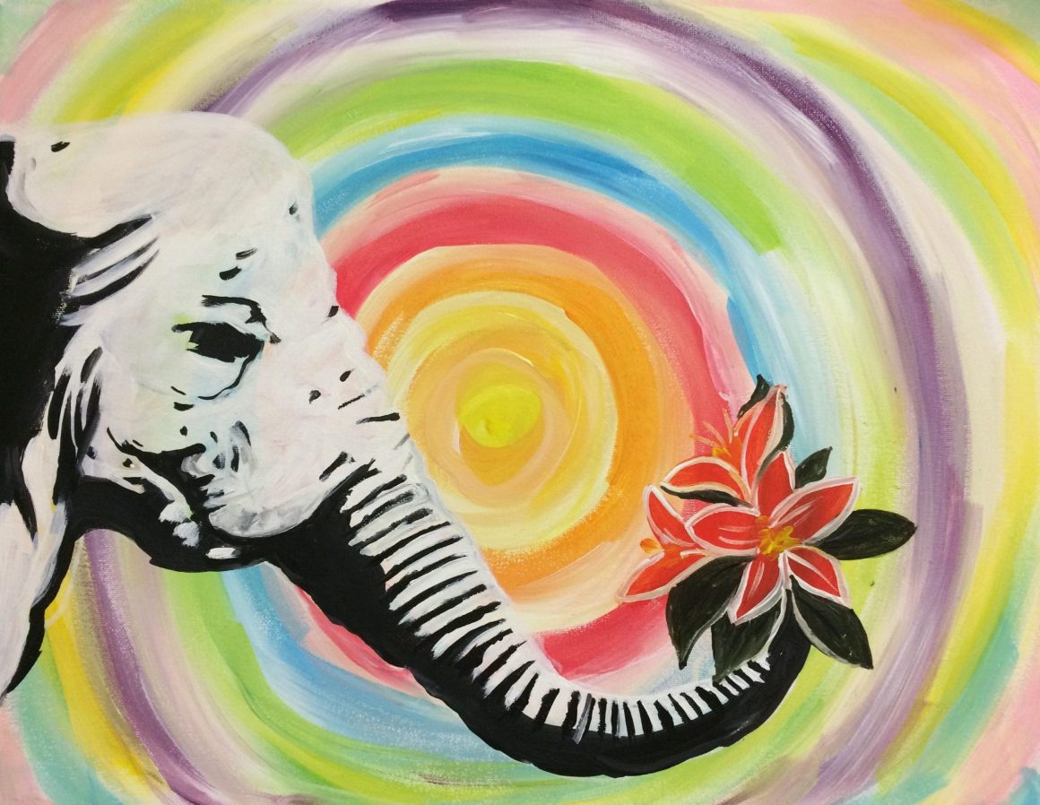 5 things you didn’t know about elephants