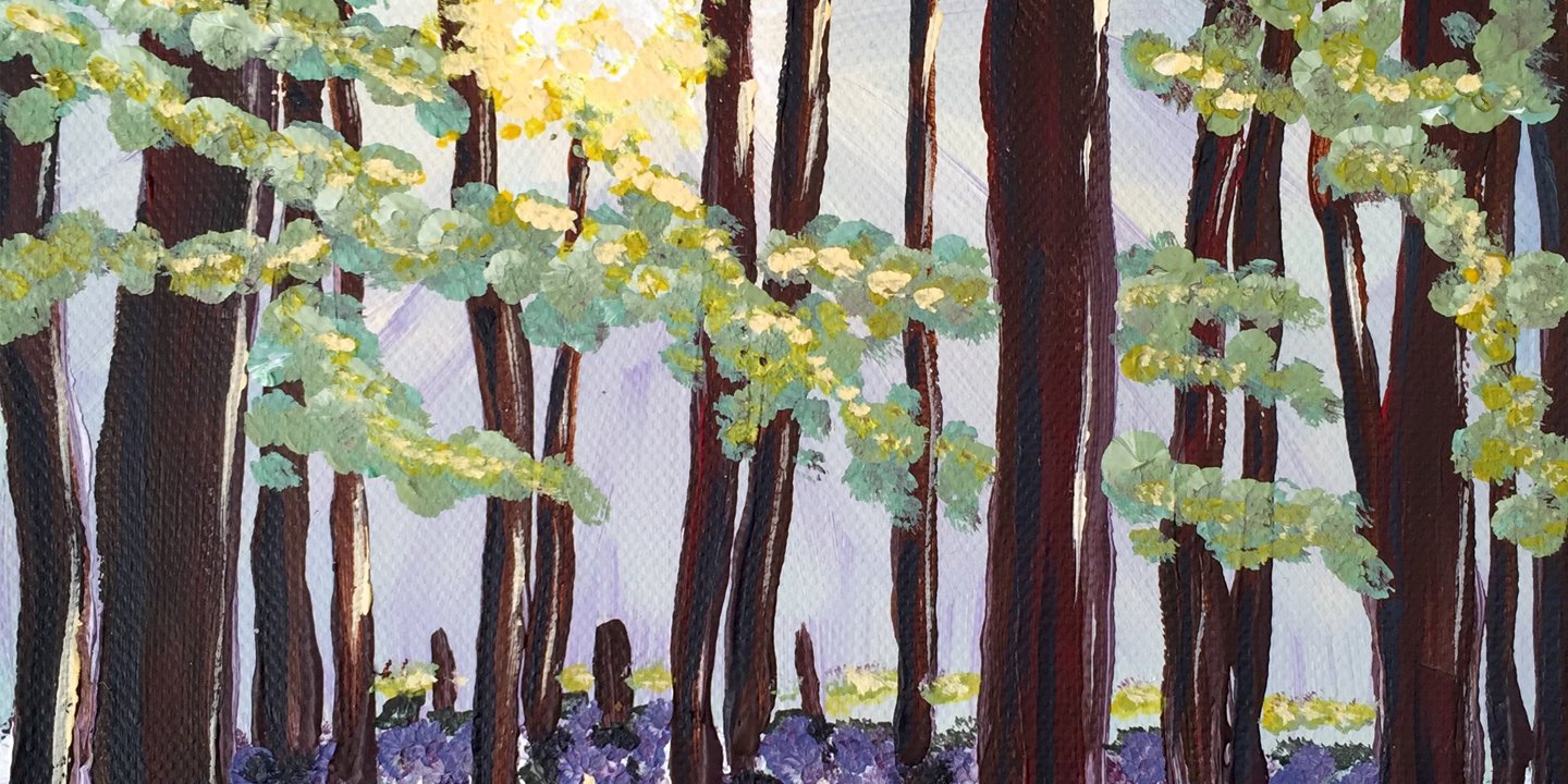 sunset in the woods