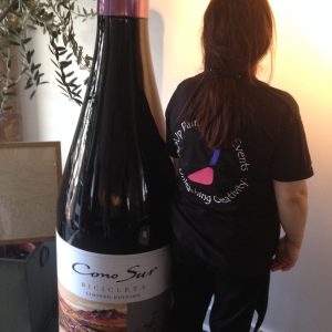 Cono Sur Wines recreates their new wine label with PopUp Painting!