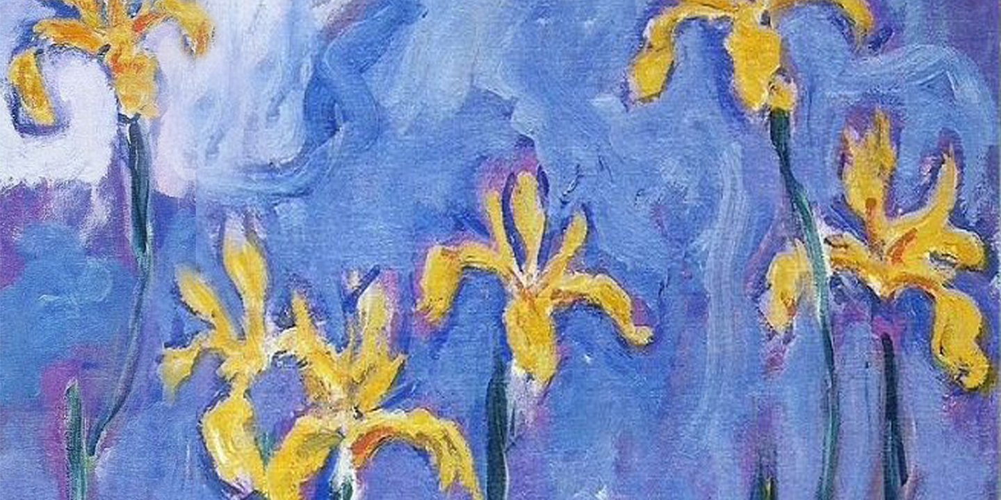 yellow irises painted by monet