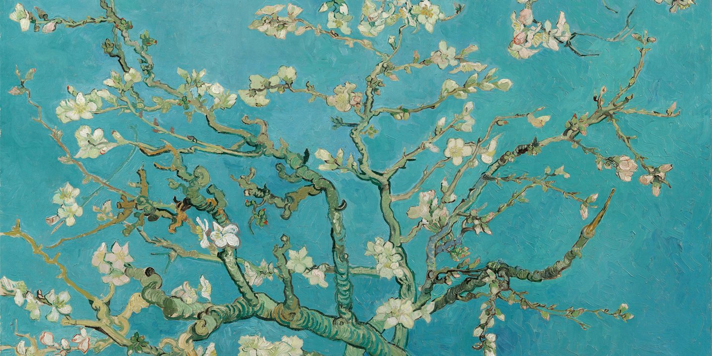 Van Gogh's Almond Blossom