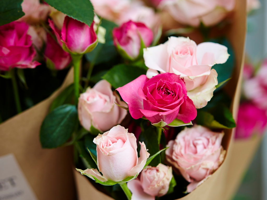 Roses for Valentine's day. This bouquet is a mix of white and pink.